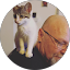 J.D. Catlett Consulting, LLC Avatar