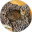 Sherry Smith Avatar