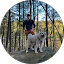 Kyle Carlin Avatar