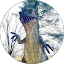 Garrett Christley Avatar